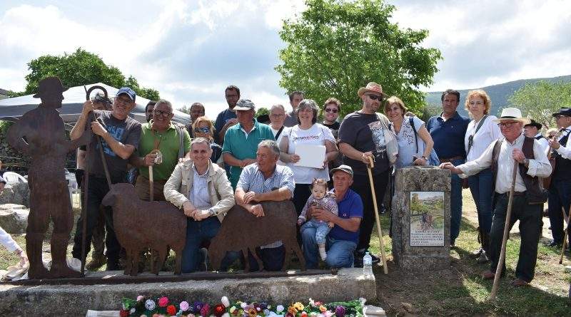 LA SIERRA DE SAN VICENTE VIBRA CON EL ÉXITO DE LA 3ª FERIA DE LA TRASHUMANCIA
