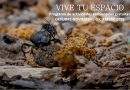 DESCUBRE EN OTOÑO ESPACIOS NATURALES DE CASTILLA-LA MANCHA
